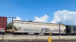 SAMX 11688